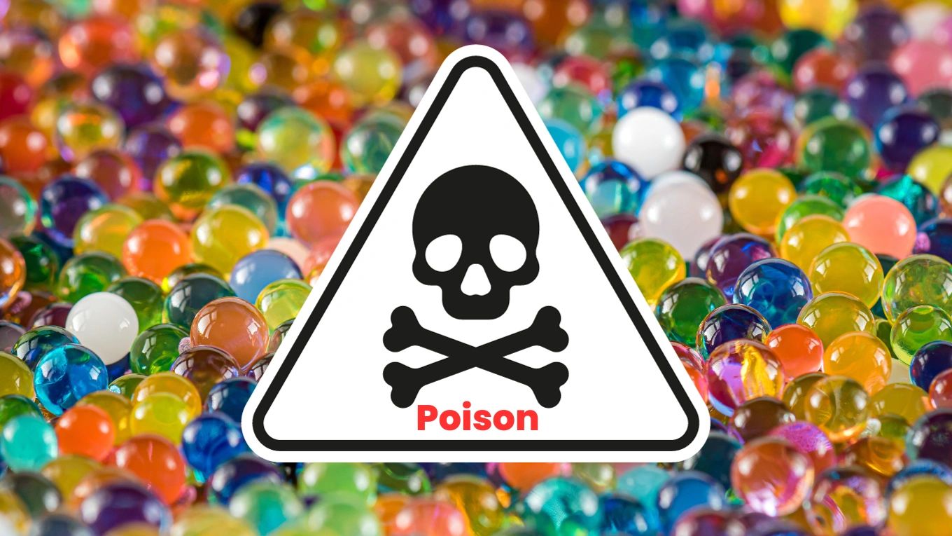 Uncovering Hidden Dangers 3 Toxicity Risks of Water Beads